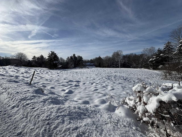 view of yard covered in snow