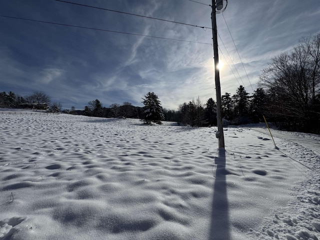 view of yard covered in snow