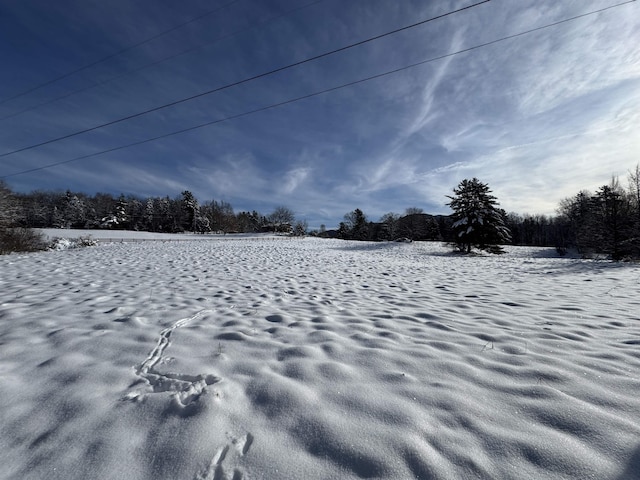 view of snowy yard