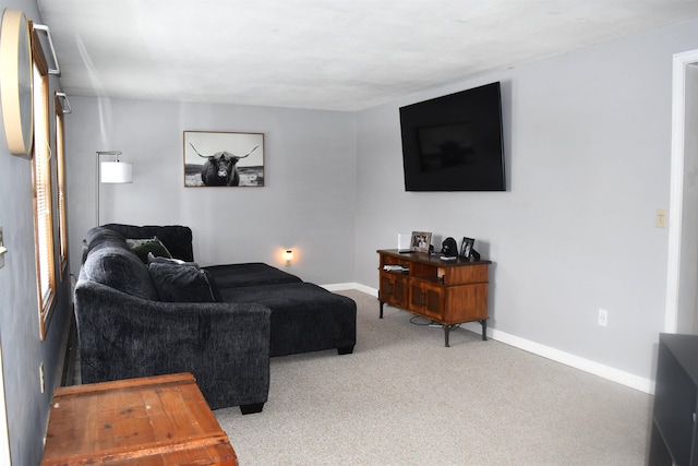 living room featuring carpet floors