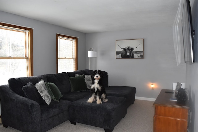 living room with light carpet