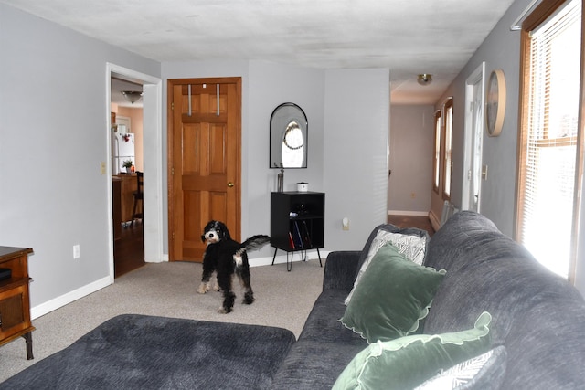 living room with carpet floors