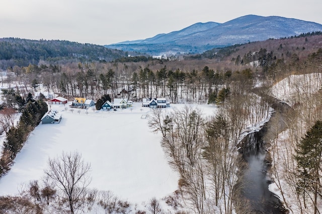 snowy aerial view featuring a mountain view