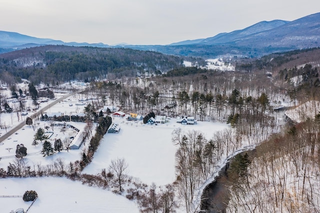 snowy aerial view featuring a mountain view