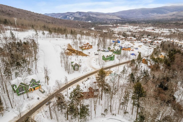 snowy aerial view featuring a mountain view