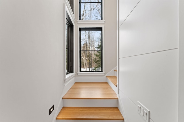 stairs featuring hardwood / wood-style floors