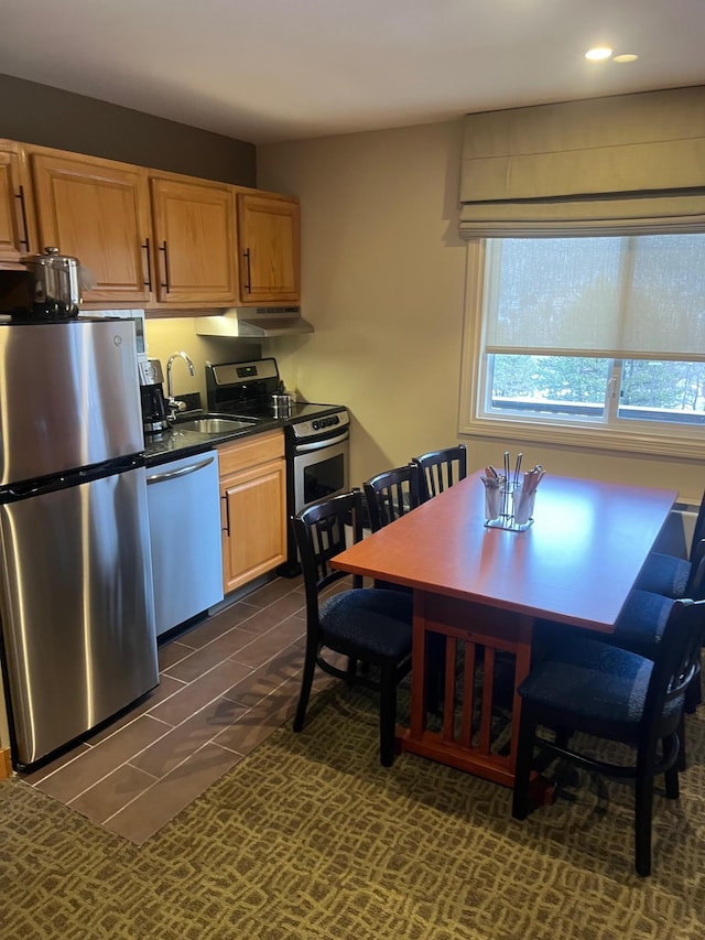 kitchen featuring appliances with stainless steel finishes and sink