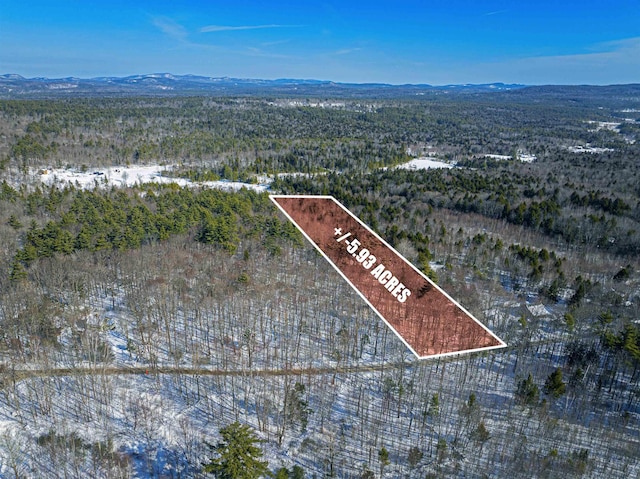 0 Old Pound Rd, Effingham NH, 03882 land for sale