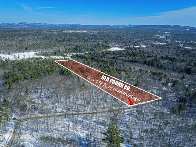 Listing photo 2 for 0 Old Pound Rd, Effingham NH 03882