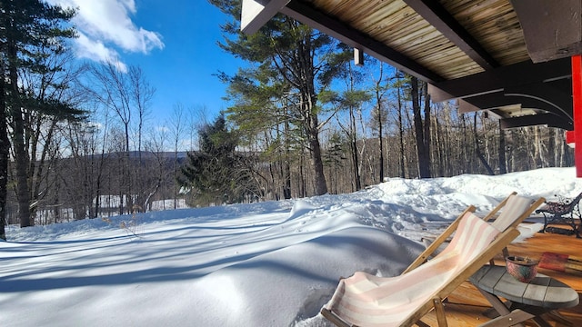 view of snowy yard