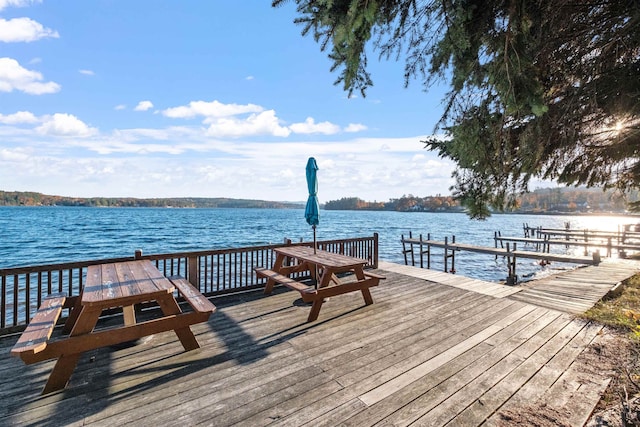 dock area with a water view