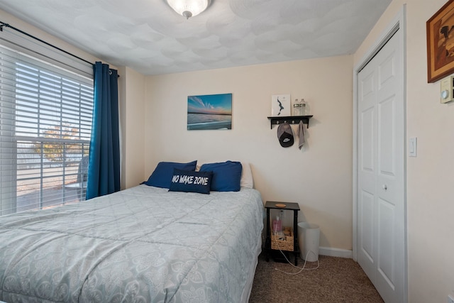 bedroom with a closet and carpet