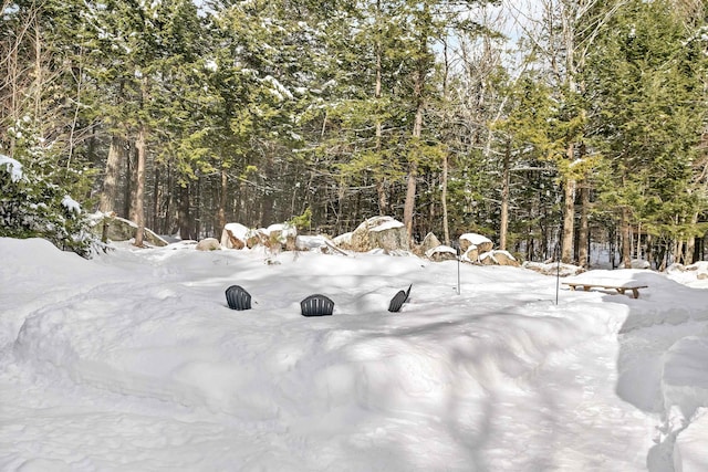 view of yard covered in snow