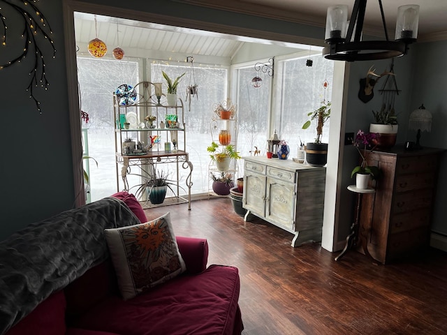 interior space featuring ornamental molding and dark wood-type flooring