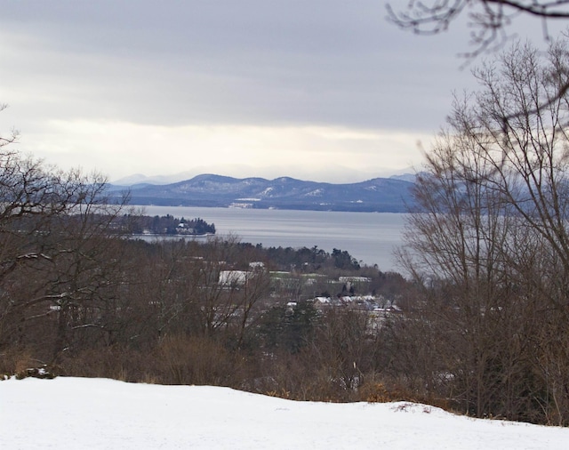 view of mountain feature