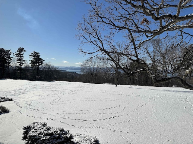 view of yard covered in snow