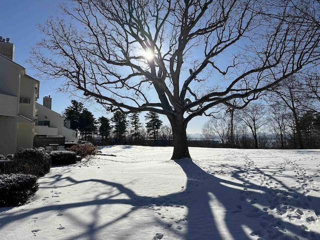 view of yard layered in snow