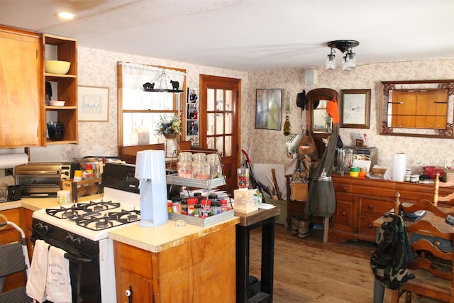 kitchen with hardwood / wood-style floors and gas stove