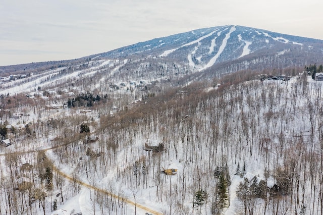 view of mountain feature