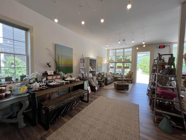 dining area with dark wood-type flooring