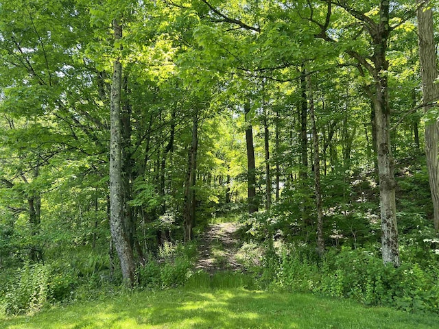 view of landscape