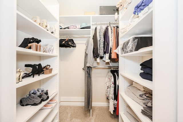 view of walk in closet