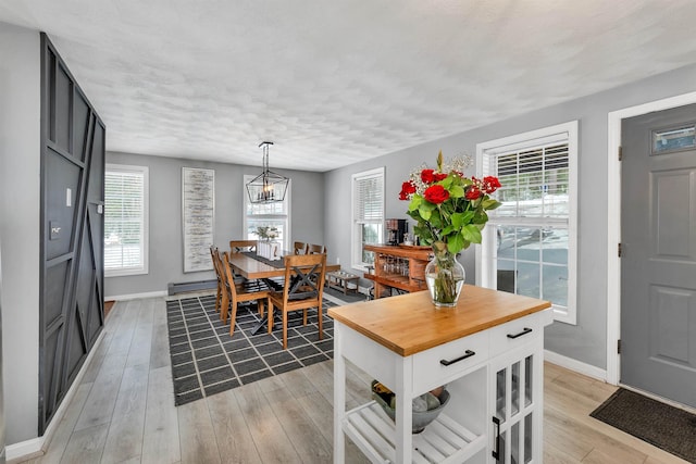 dining room featuring light hardwood / wood-style flooring, a textured ceiling, and a baseboard heating unit