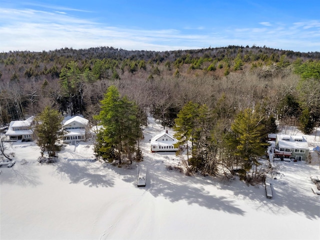 snowy aerial view with a view of trees