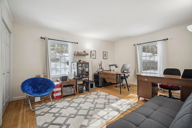 office featuring light hardwood / wood-style floors