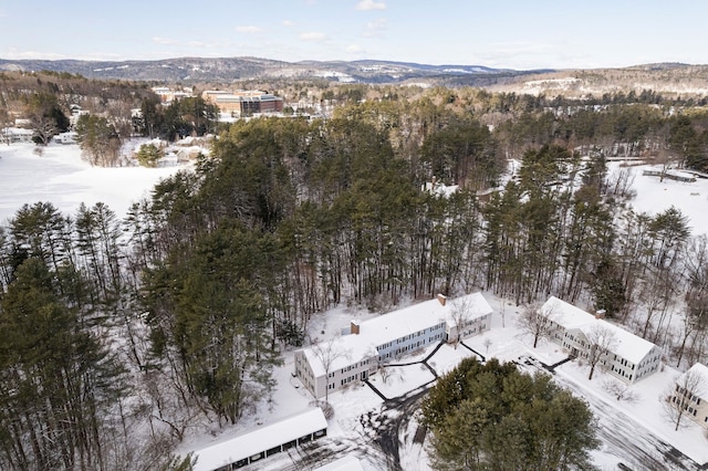 snowy aerial view featuring a mountain view