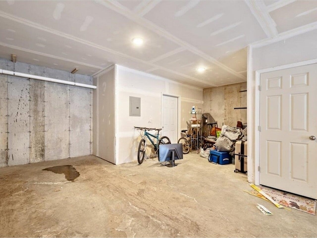 basement with electric panel