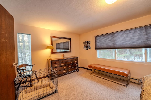 sitting room featuring a wealth of natural light, carpet floors, a textured ceiling, and a baseboard radiator