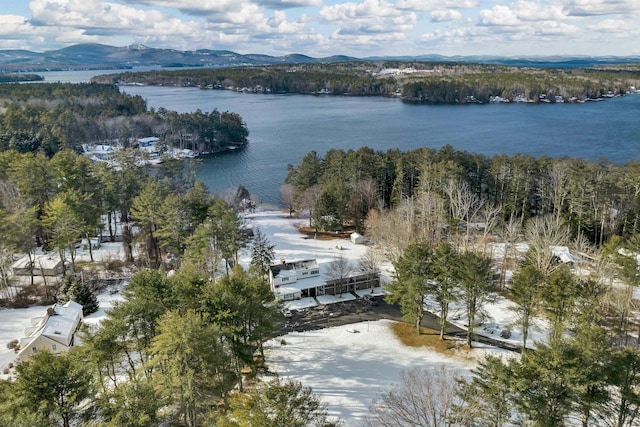 birds eye view of property with a water and mountain view