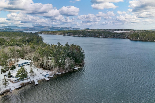 birds eye view of property with a water and mountain view