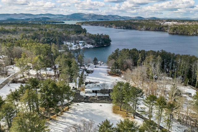 drone / aerial view with a water and mountain view