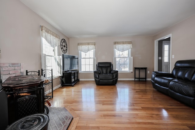 living room with a wood stove and light hardwood / wood-style flooring