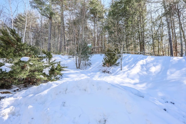 view of yard covered in snow