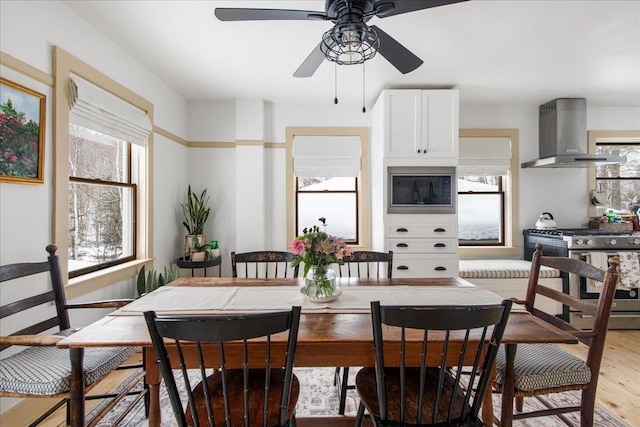 dining space with light wood-type flooring and plenty of natural light