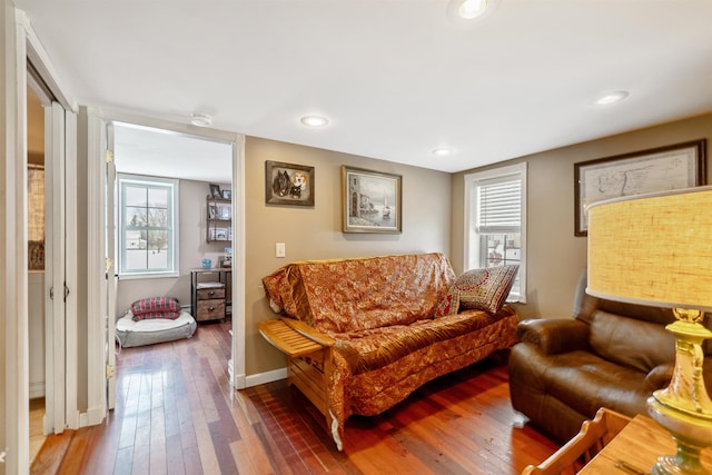 living room with a wealth of natural light and wood-type flooring