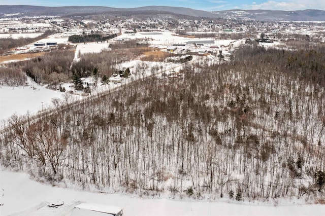 snowy aerial view featuring a mountain view