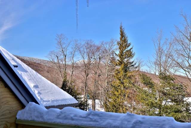 exterior details featuring a mountain view