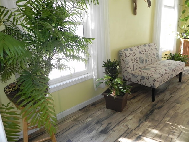 sitting room featuring a wealth of natural light and wood-type flooring