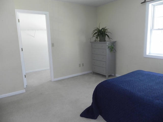 bedroom with multiple windows, a walk in closet, and light colored carpet