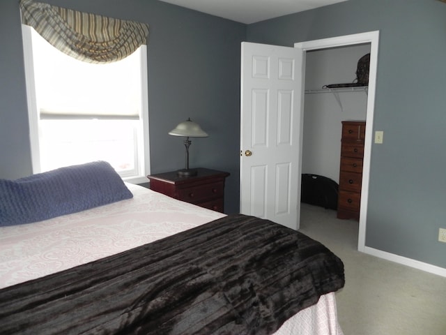 bedroom with a closet and carpet flooring