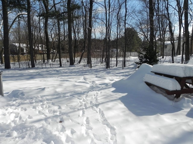 view of yard layered in snow