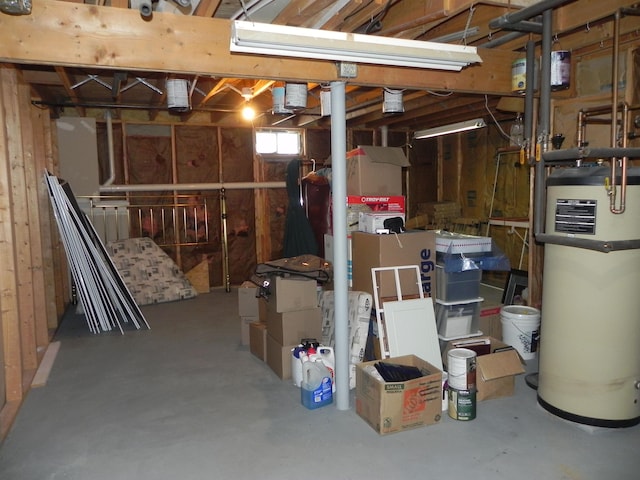 storage room featuring gas water heater