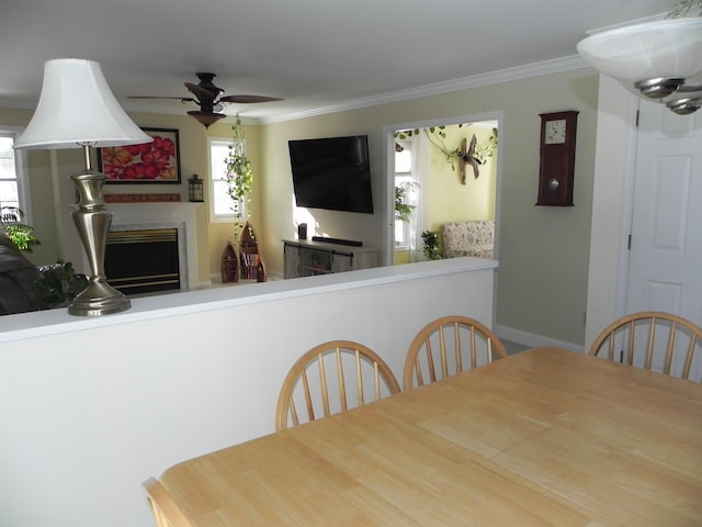 dining area featuring ornamental molding and ceiling fan