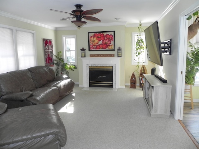 carpeted living room with a fireplace, crown molding, and ceiling fan