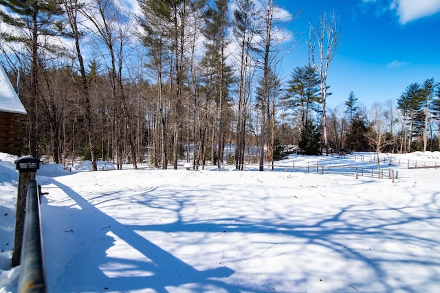 view of yard covered in snow