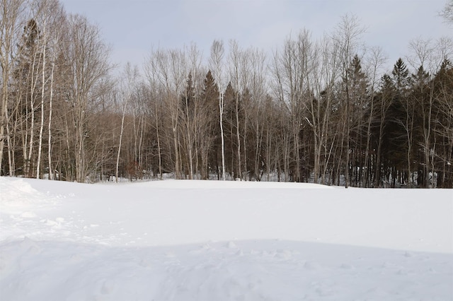 view of snowy landscape